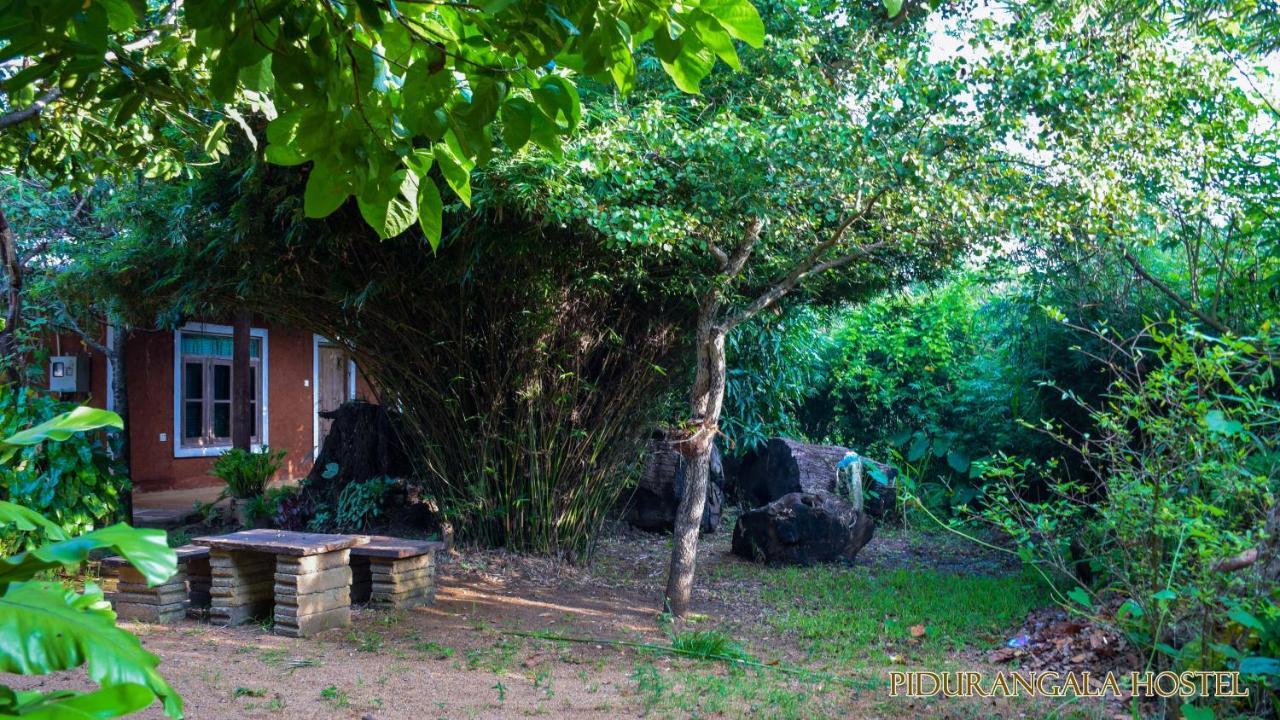 Pidurangala Hostel Sigiriya Exterior foto